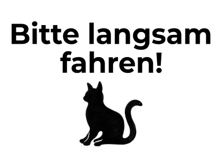 Katzen Bitte langsam fahren! Bild