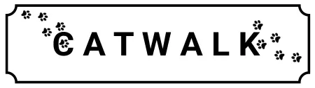 Katzen CATWALK Bild
