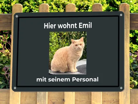 Katzen Hier wohnt Emil Bild
