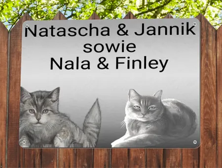 Katzen Natascha & Jannik Bild