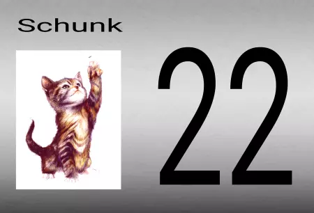 Katzen Schunk 22 Bild