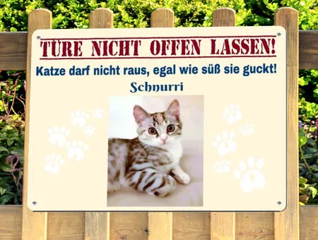Katzen Türe nicht offen lassen! Bild
